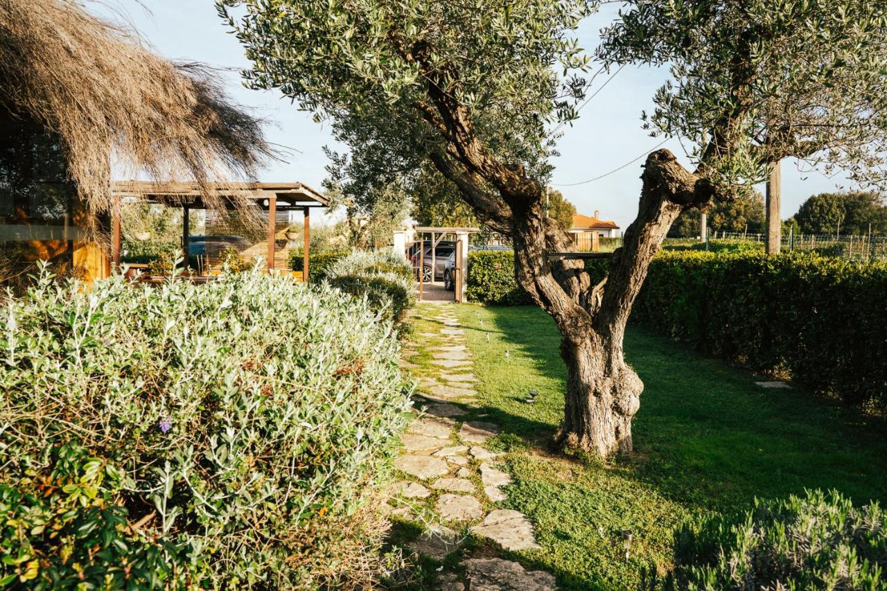 Agriturismo Sweet Cottage Marina di Grosseto Exterior photo