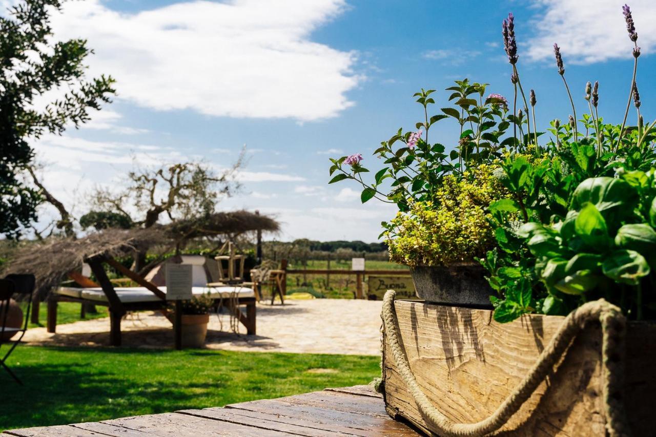 Agriturismo Sweet Cottage Marina di Grosseto Exterior photo